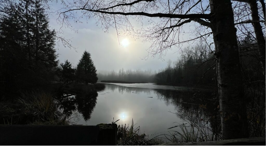 A calm reflective space supporting conscious transformation and inner awareness